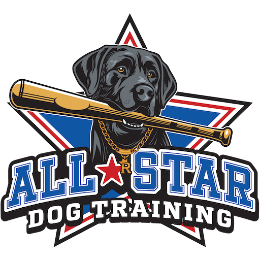 all star dog training