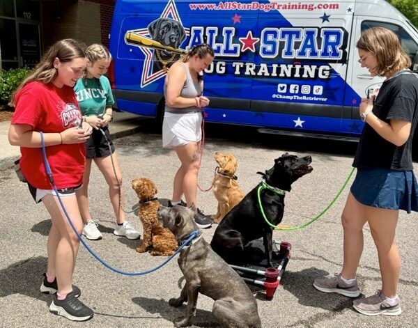 group training class