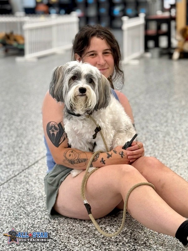 dog sitting in owner's lap