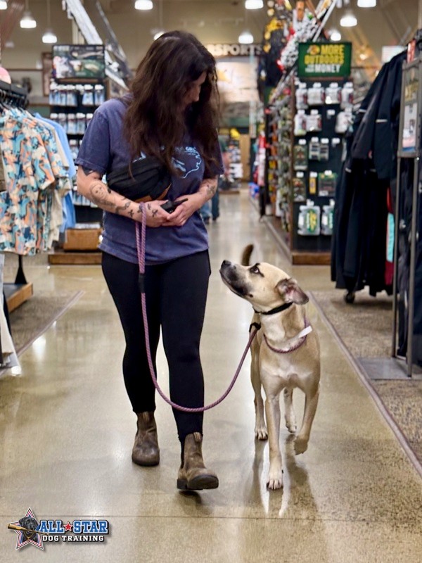 trainer walking dog in a store