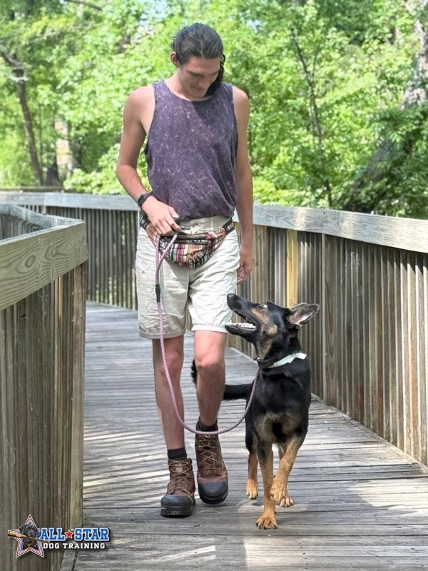 trainer walking dog