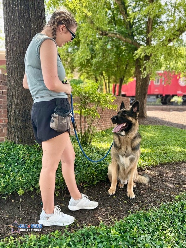 trainer with german shepherd