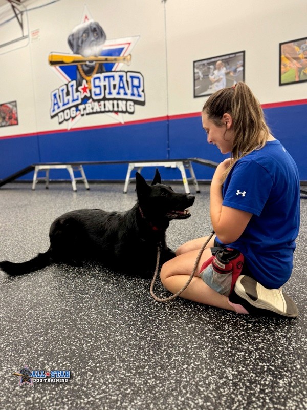 Trainer and dog at training facility