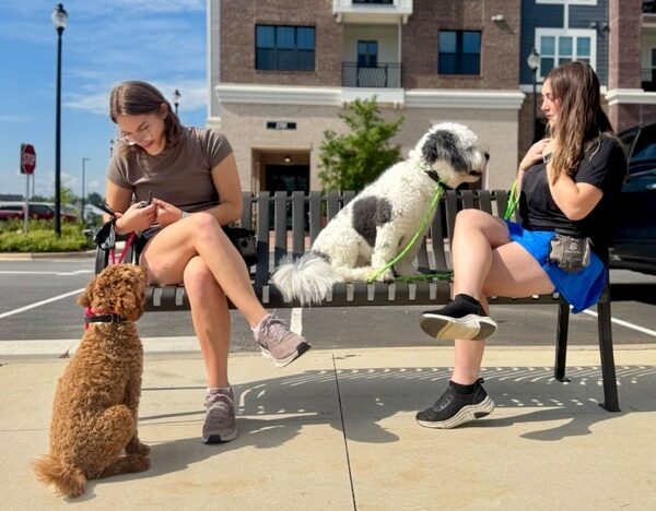 Two dog all-star dog trainers with dogs sitting on bench