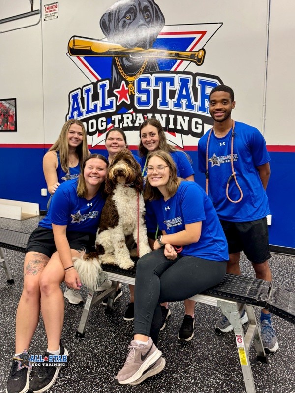 Doodle posing with all-star dog training team