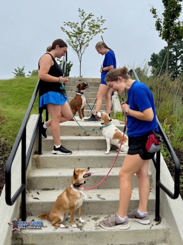 Group focus training class on stairs