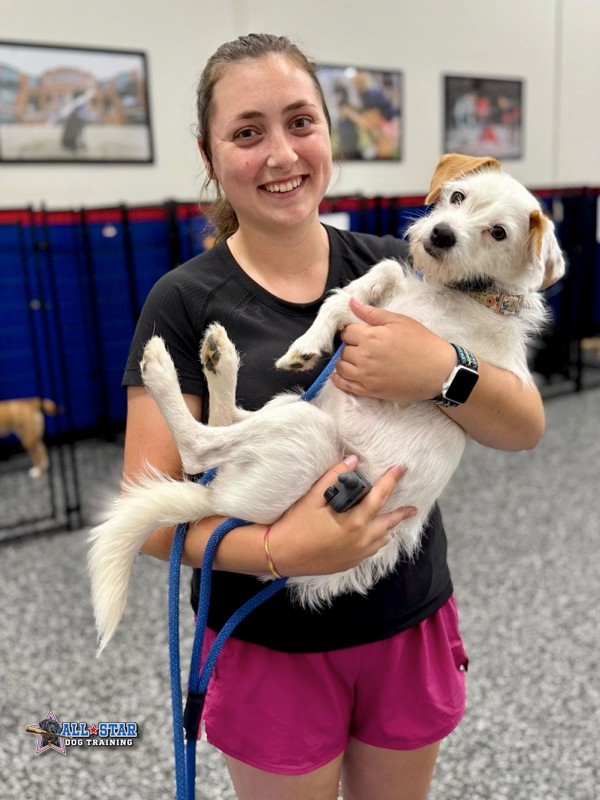 All-Star Dog Training Employee holding dog