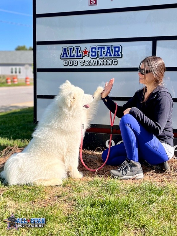 Dog high-fiving Dog Trainer at All-Star Dog Training