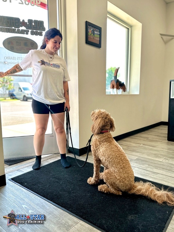 All-Star Dog Training staff opening the door for dog