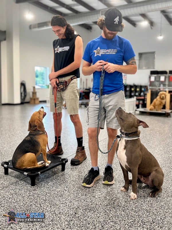 Two All-Star Dog Training Staff members with their dogs sitting