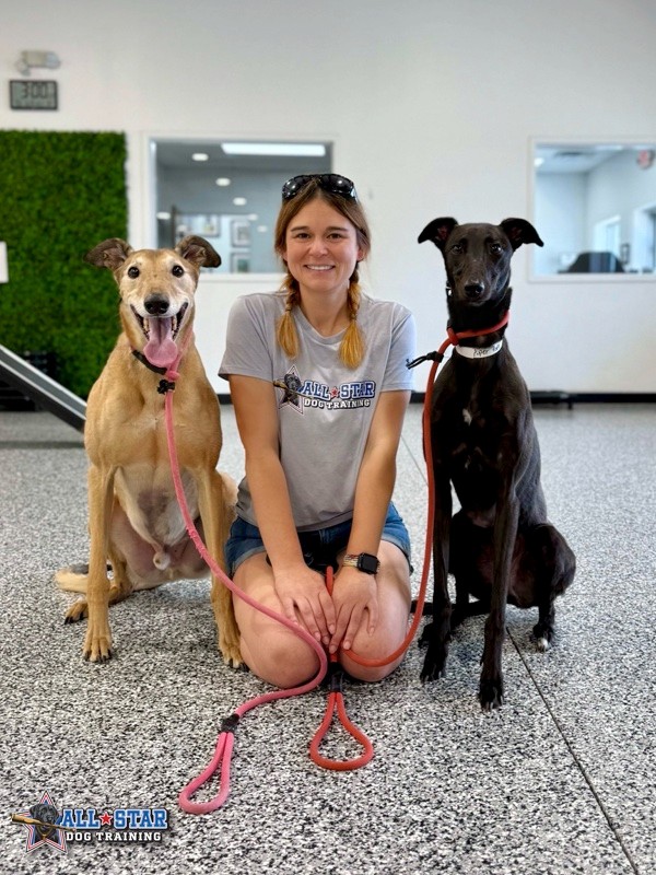 All-Star Dog Training Staff Member sitting with two dogs
