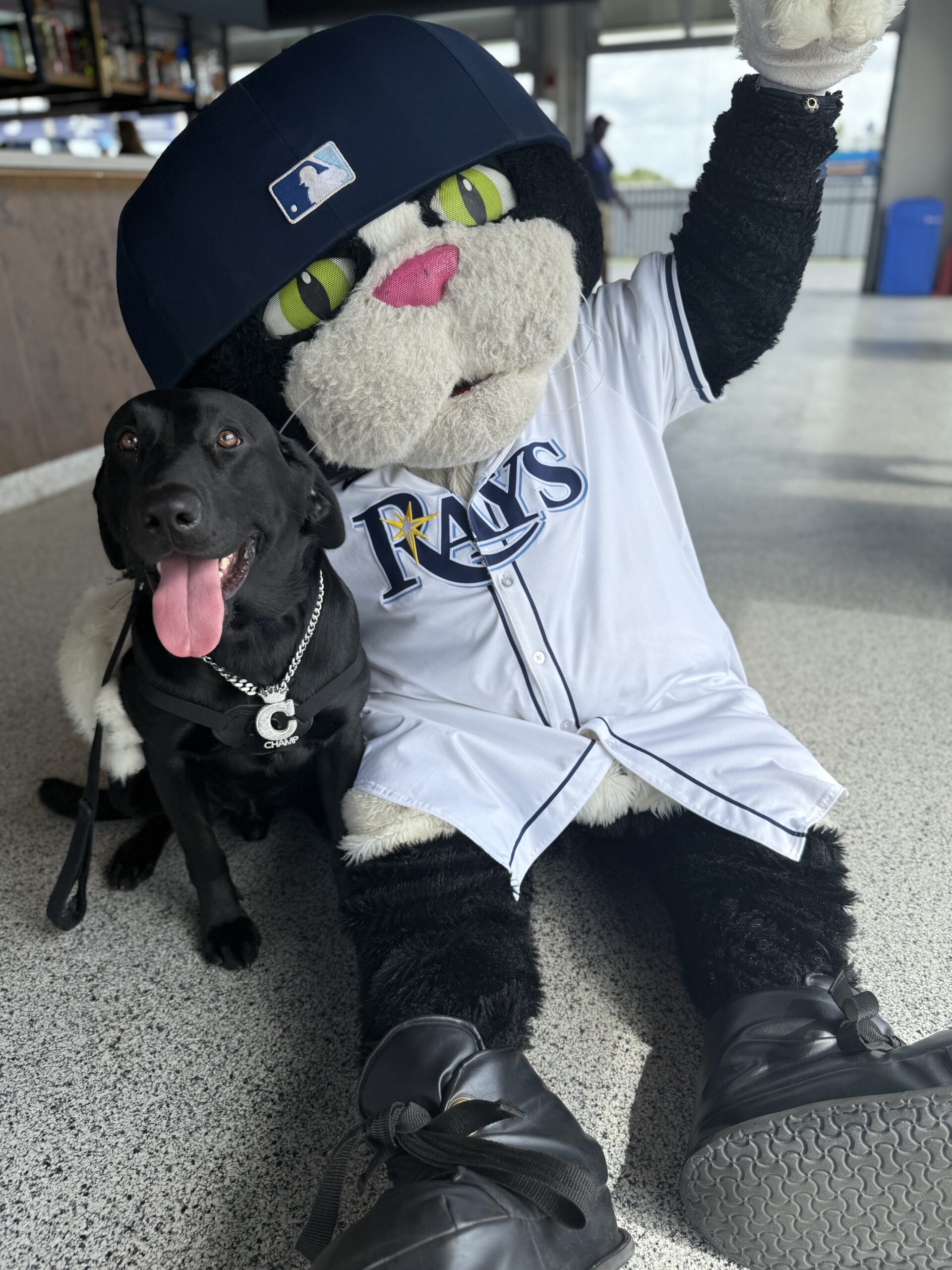 Champ with Rays mascot at baseball game