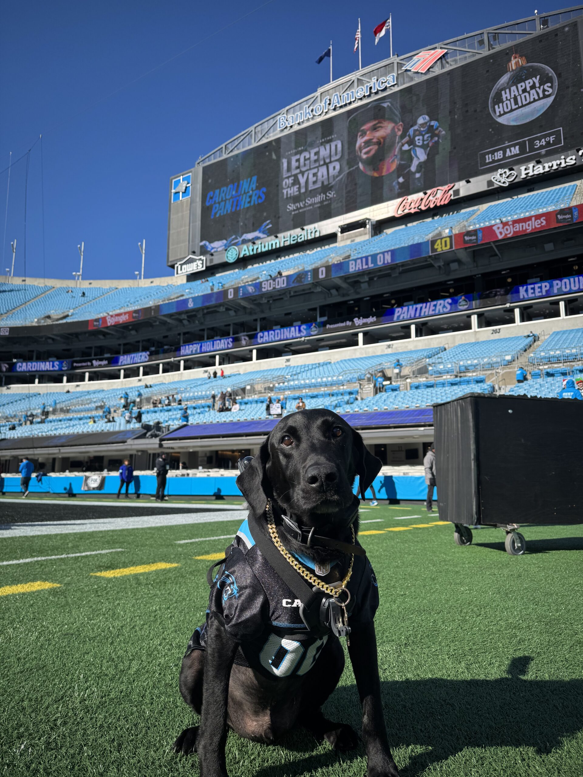 Ripken at Panthers Stadium