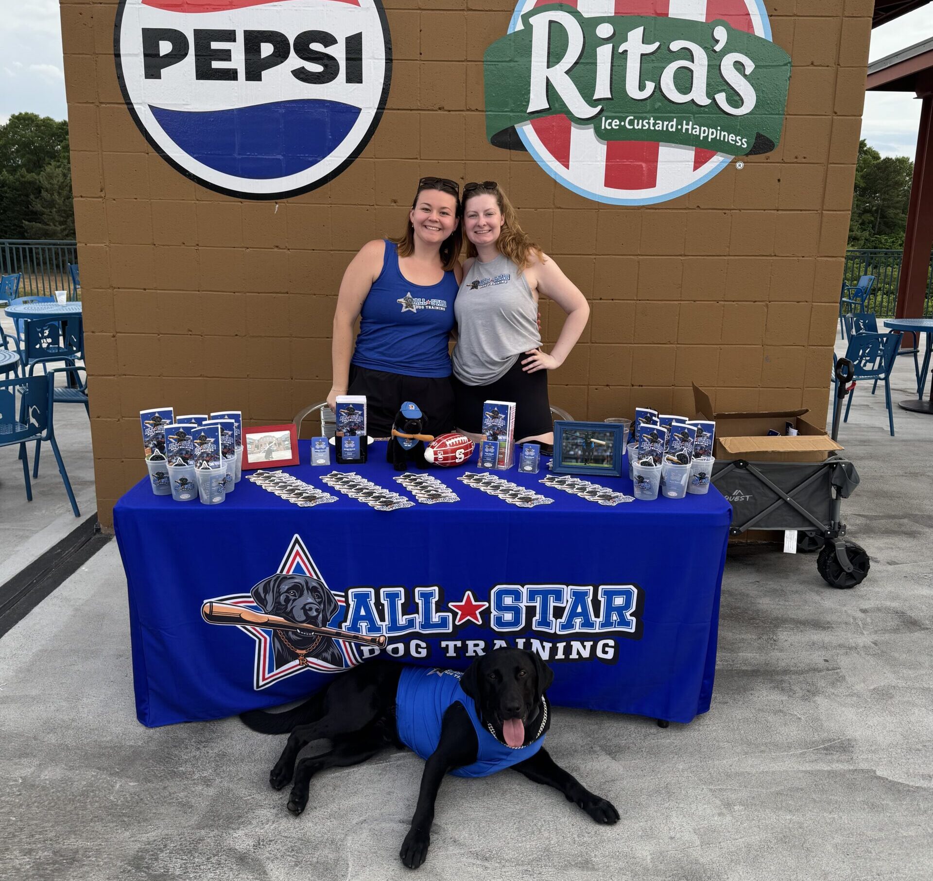 All-Star Dog Training Team advertising at the Durham Bulls Stadium with Champ