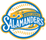Holly Springs Salamander Logo