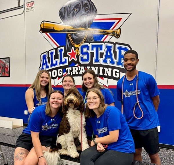 All-Star Dog training team at facility with golden doodle