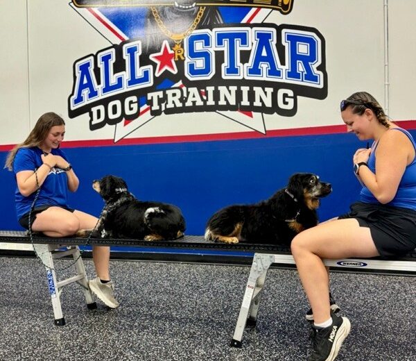 Two All-Star Dog trainers with dogs at facility